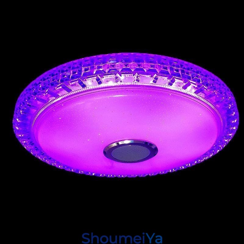 フラッシュマウント天井ライト リモートアプリコントロール Bluetooth 音楽スピーカーライト