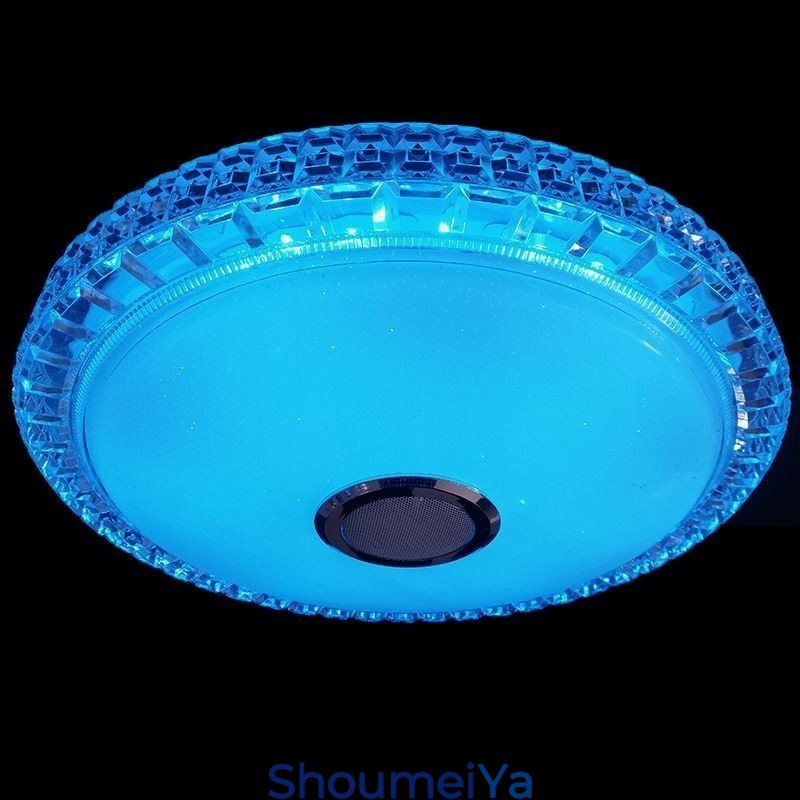 フラッシュマウント天井ライト リモートアプリコントロール Bluetooth 音楽スピーカーライト