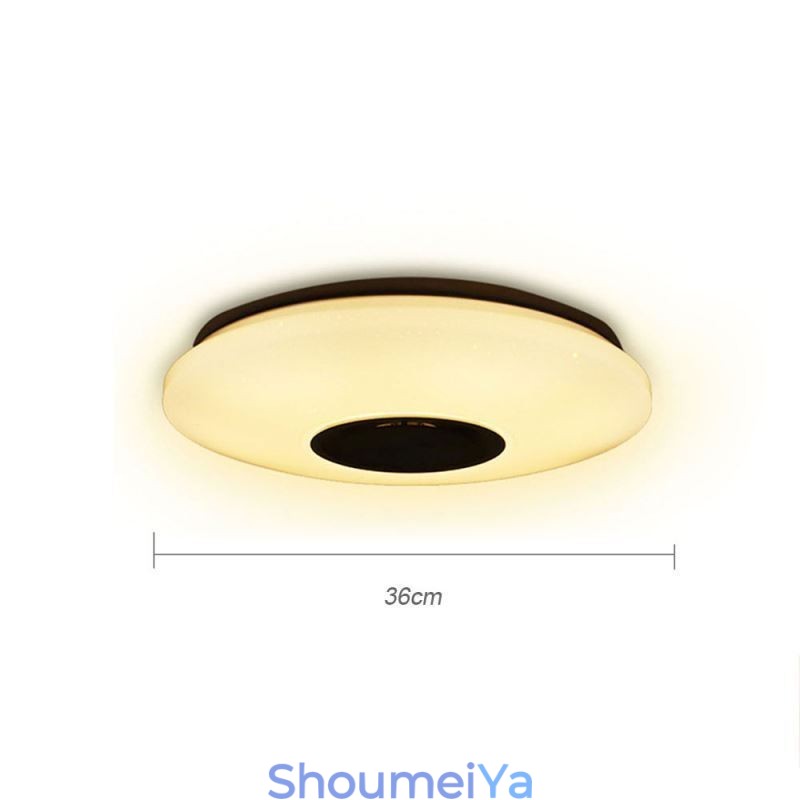Bluetooth 音楽スピーカータイミング機能付きフラッシュマウントカラフルシーリングランプ