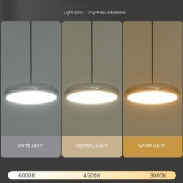 天井照明 3ヘッドペンダントライト