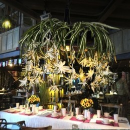 ホームペンダントランプ インダストリアルスタイル 人工植物装飾シャンデリア