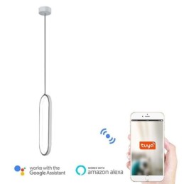 楕円形ペンダントライト アクリル装飾照明器具