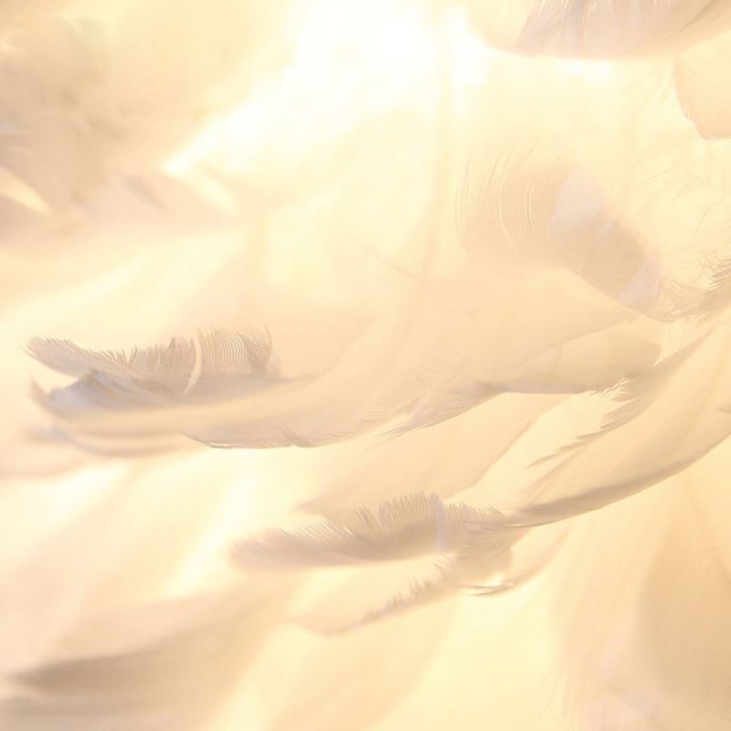 美しい羽根飾りペンダント照明器具