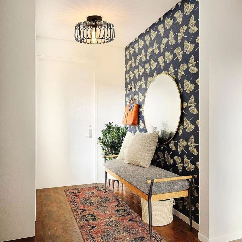 シンプルなフラッシュマウントアイアンバードケージシーリングライト