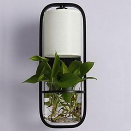 モダンな鉄製のクリエイティブな鉢植え植物ガラス製ウォールランプ