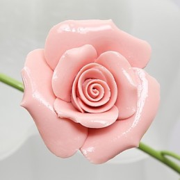 バレンタインデー バラ園の花と植物がドームの光を吸収
