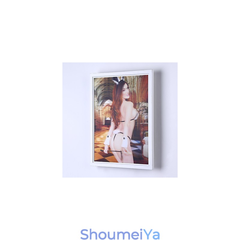 アンビエントライトウォールスコンセ用の統合されたモダンコンテンポラリーモダンコンテンポラリーペインティング機能