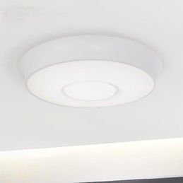 モダンな天井照明 家庭用天井ランプ 省エネ