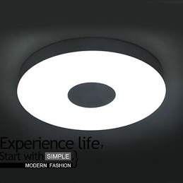 モダンで現代的なブラシ仕上げのメタルフラッシュマウント