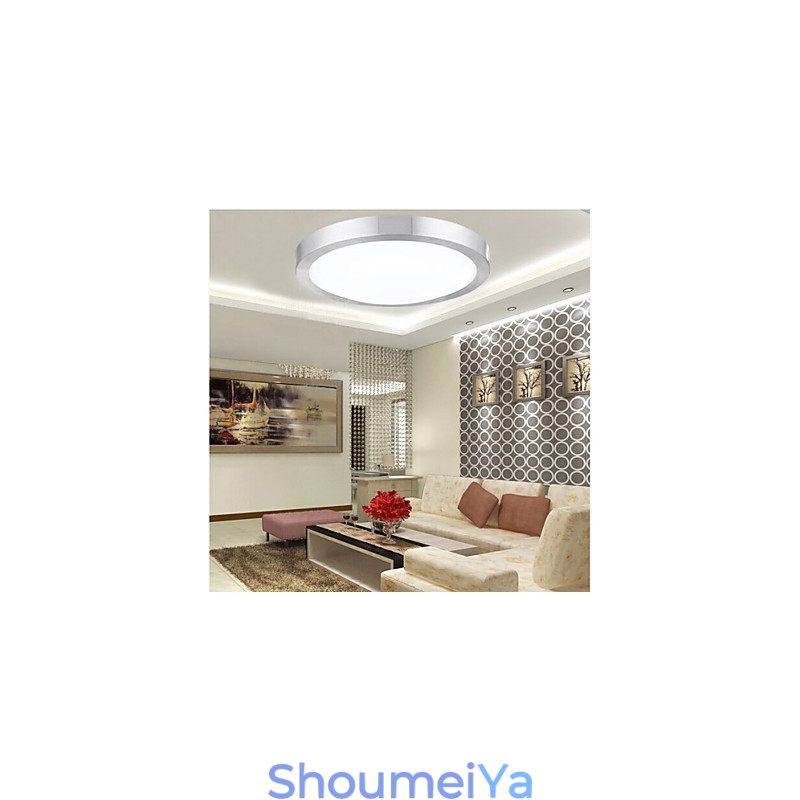 フラッシュマウントライト シッティングライト ラウンド シンプル モダン 直径 41CM