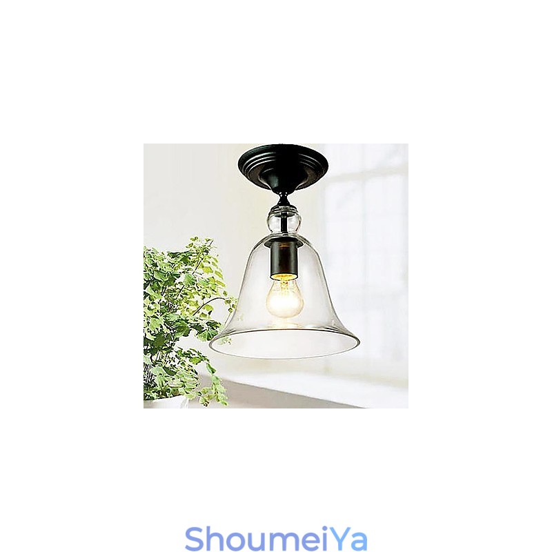 天井ランプ 1 ライト シンプル モダン 芸術的