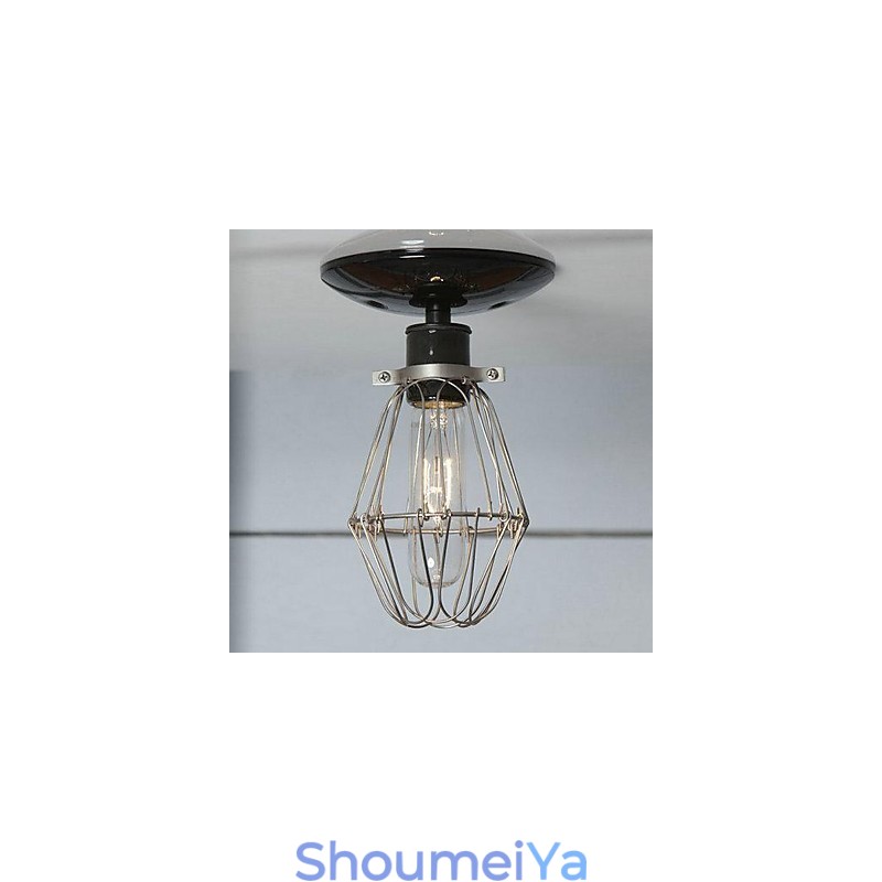 カントリーペインティングメタルフラッシュマウント