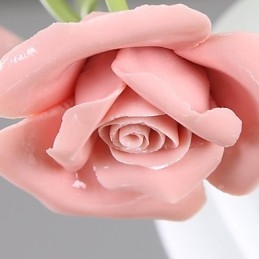 バレンタインデー バラ園の花と植物がドームの光を吸収