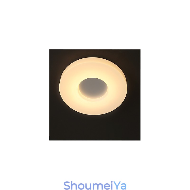 北欧のクリエイティブな円形ランプとランタンライト天井ランプ