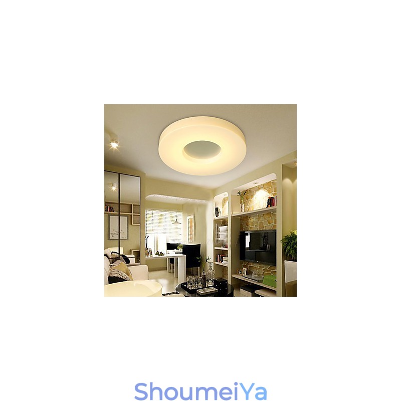 北欧のクリエイティブな円形ランプとランタンライト天井ランプ