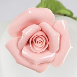 バレンタインデーの庭の花と植物がドームの光を吸収する