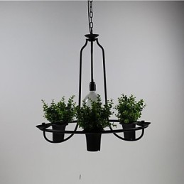 地中海の庭の花の光