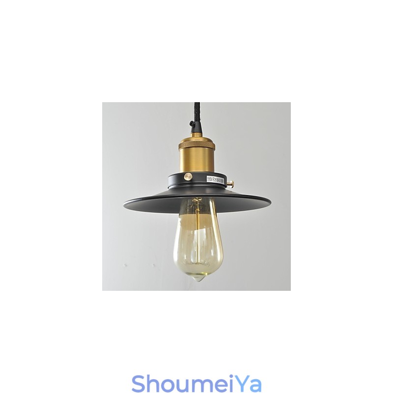 カントリーミニスタイルペインティングメタルペンダントライト